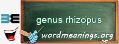 WordMeaning blackboard for genus rhizopus